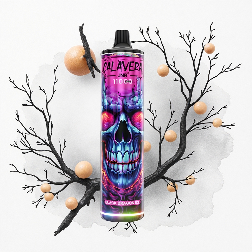 JNR Calavera 11000 Dragón Negro Hielo con Carga Tipo-C y Batería 850mAh
