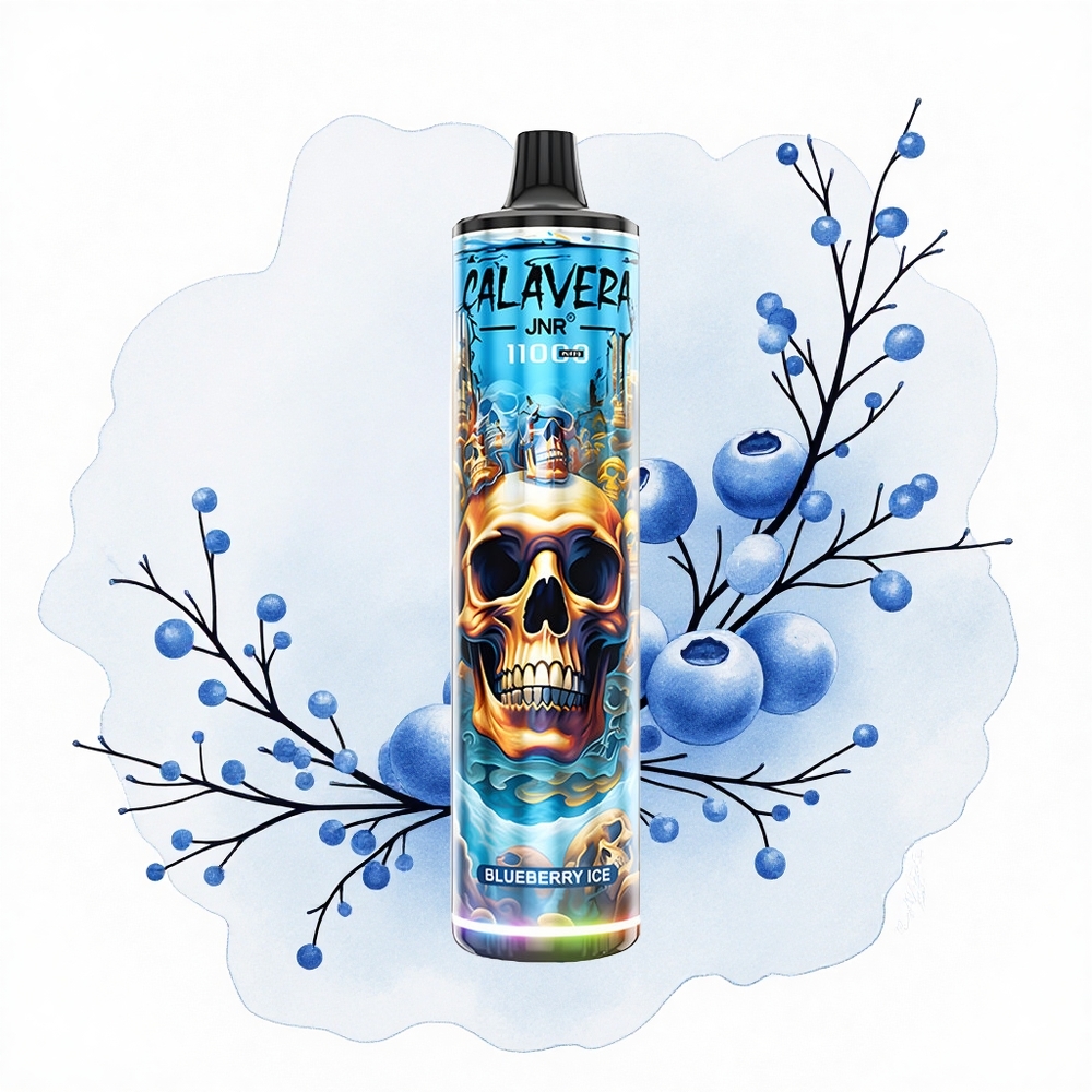 JNR Calavera 11000 Helado de Arándano Tipo-C 850mAh 21ml