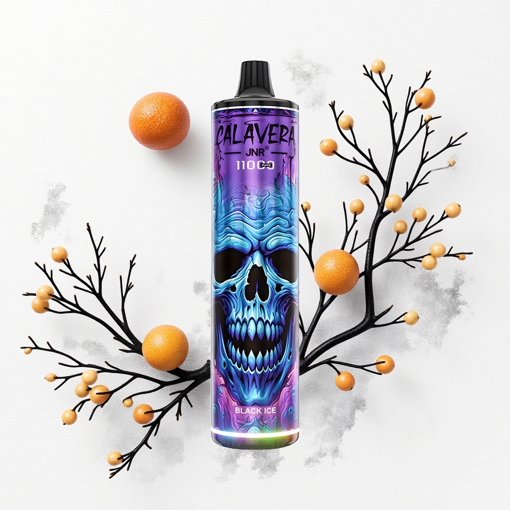 JNR Calavera 11000 Hielo Negro Tipo-C 850mAh 21ml