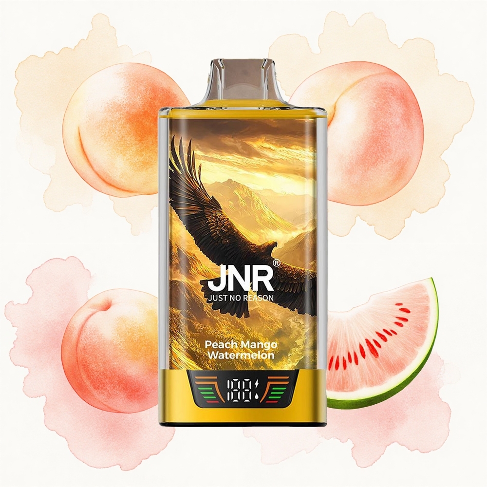 JNR Falcon Pro 28000 Melocotón Mango Sandía 30ml Dual Malla USB-C