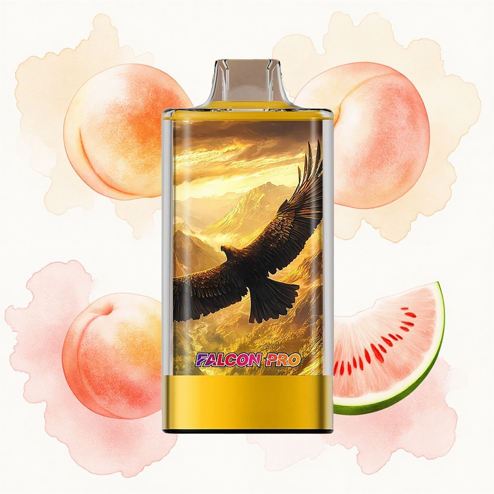 JNR Falcon Pro 28000 Melocotón Mango Sandía 30ml Dual Malla USB-C