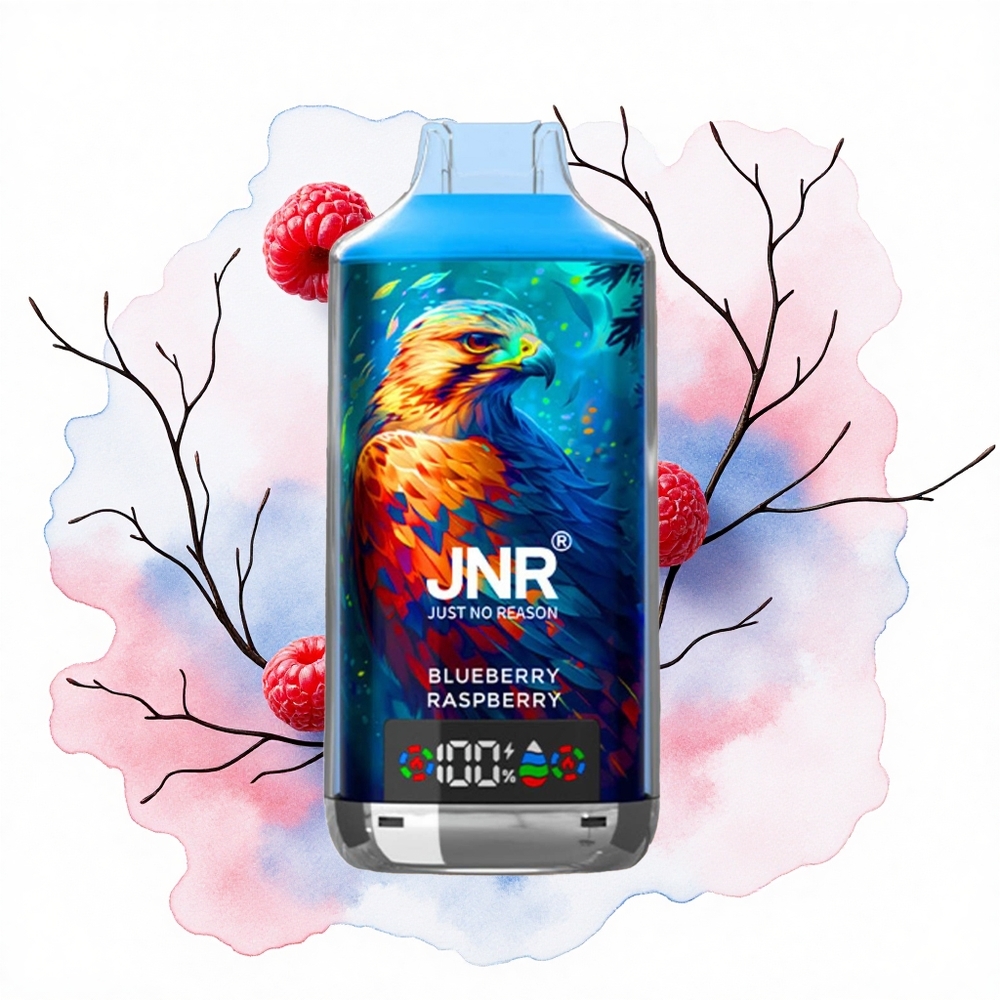 JNR Falcon X 18000 Arándano Frambuesa 750mAh Dual Mesh