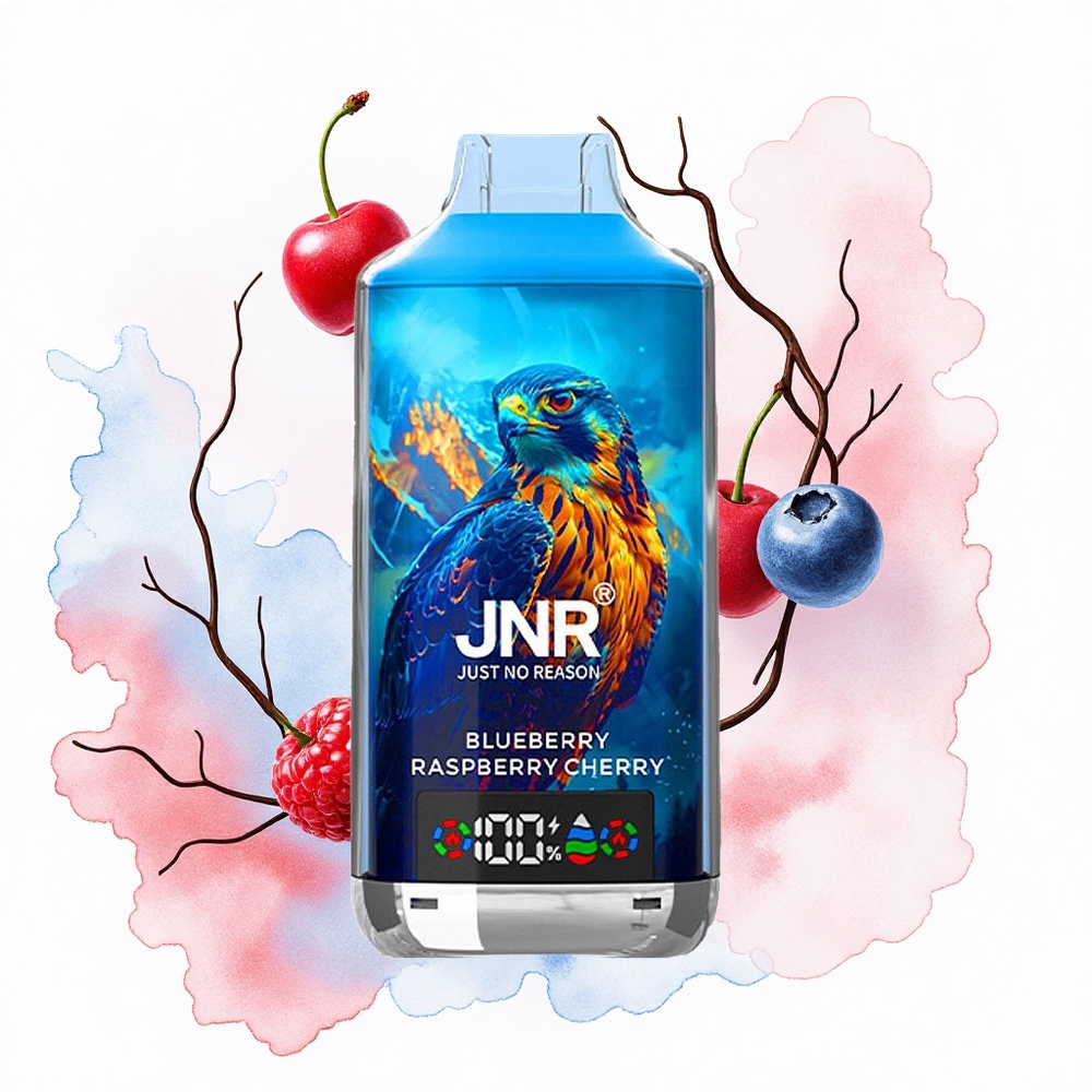 JNR Falcon X 18000 Arándano Frambuesa Cereza 750mAh Doble Malla Tipo-C