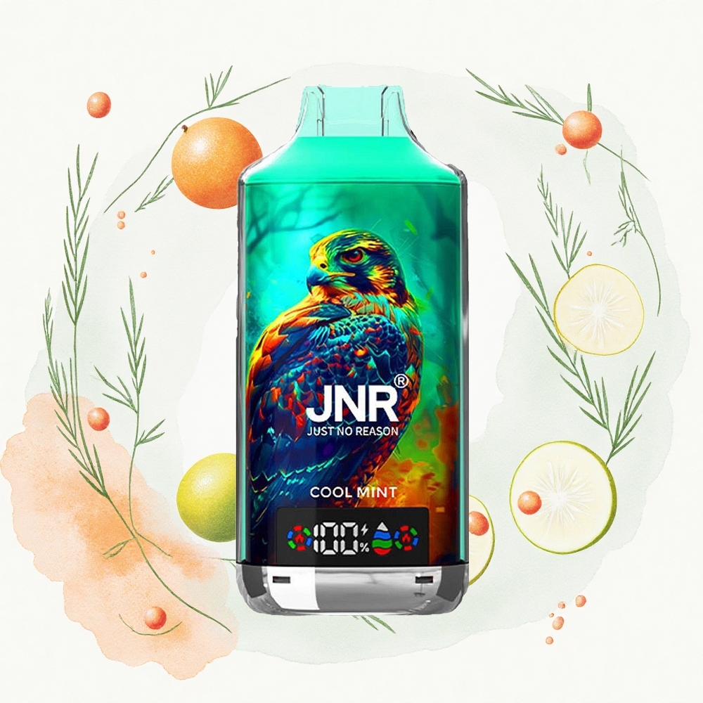 JNR Falcon X 18000 Menta Fresca 24ml 750mAh Doble Malla