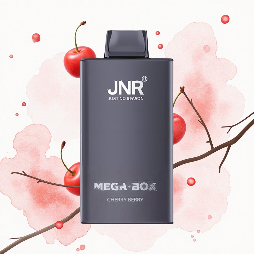 JNR Mega Box 25000 Cereza Baya Dual Mesh Rápida Carga