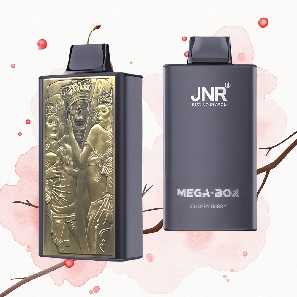 JNR Mega Box 25000 Cereza Baya Dual Mesh Rápida Carga