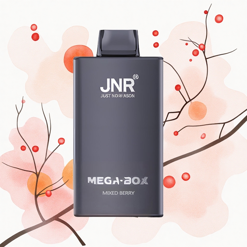 JNR Mega Box 25000 Fruta Mixta Mega Dual Mesh Tipo-C