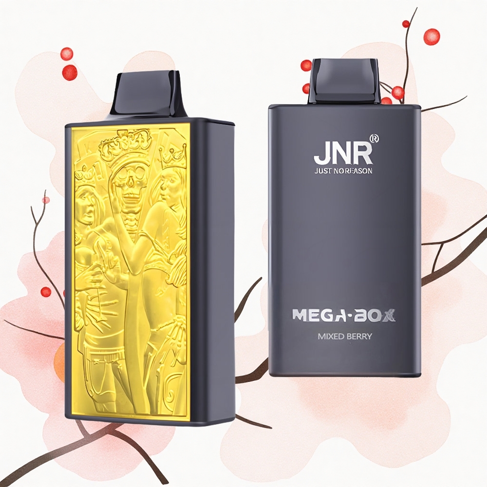 JNR Mega Box 25000 Fruta Mixta Mega Dual Mesh Tipo-C