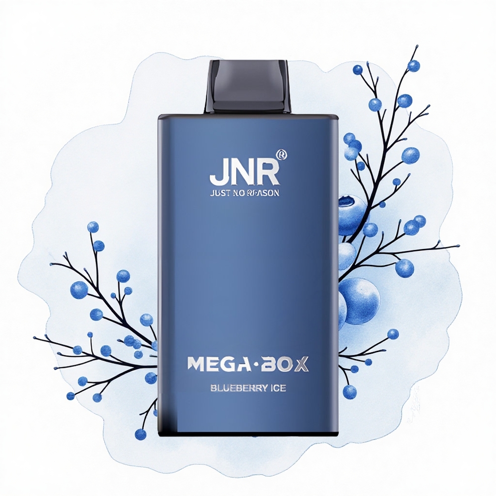 JNR Mega Box 25000 Helado de Arándano Dual Mesh Tipo-C