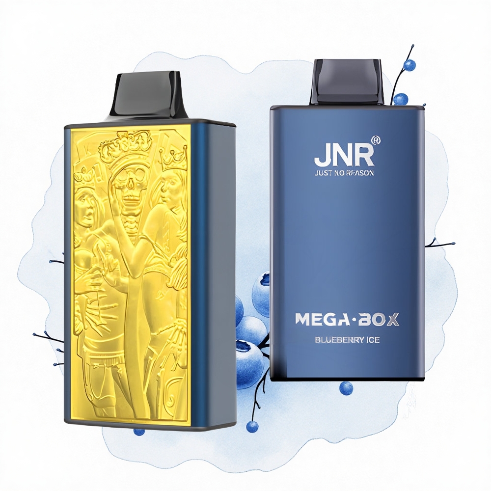 JNR Mega Box 25000 Helado de Arándano Dual Mesh Tipo-C