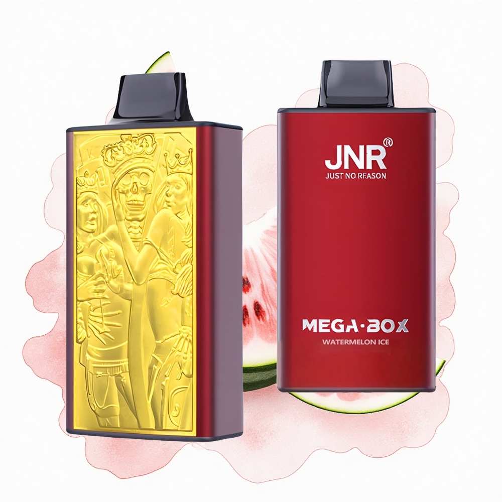 JNR Mega Box 25000 Sandía Hielo 30ml Dual Carga Rápida