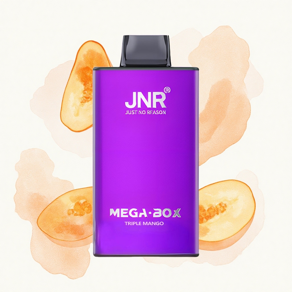 JNR Mega Box 25000 Triple Mango Dual Núcleo Carga Rápida