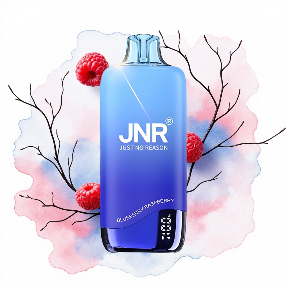 JNR Rainbow 10500 Frambuesa Arándano 18ml Mesh 600mAh