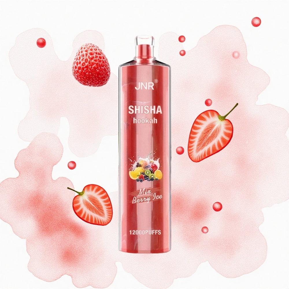 JNR Shisha Hookah 12000 Helado de Baya con 24ml y Carga Rápida Type-C
