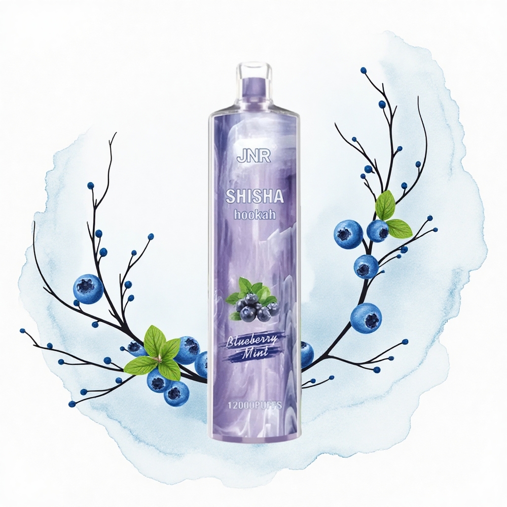 JNR Shisha Hookah 12000 Menta Arándano 24ml 750mAh