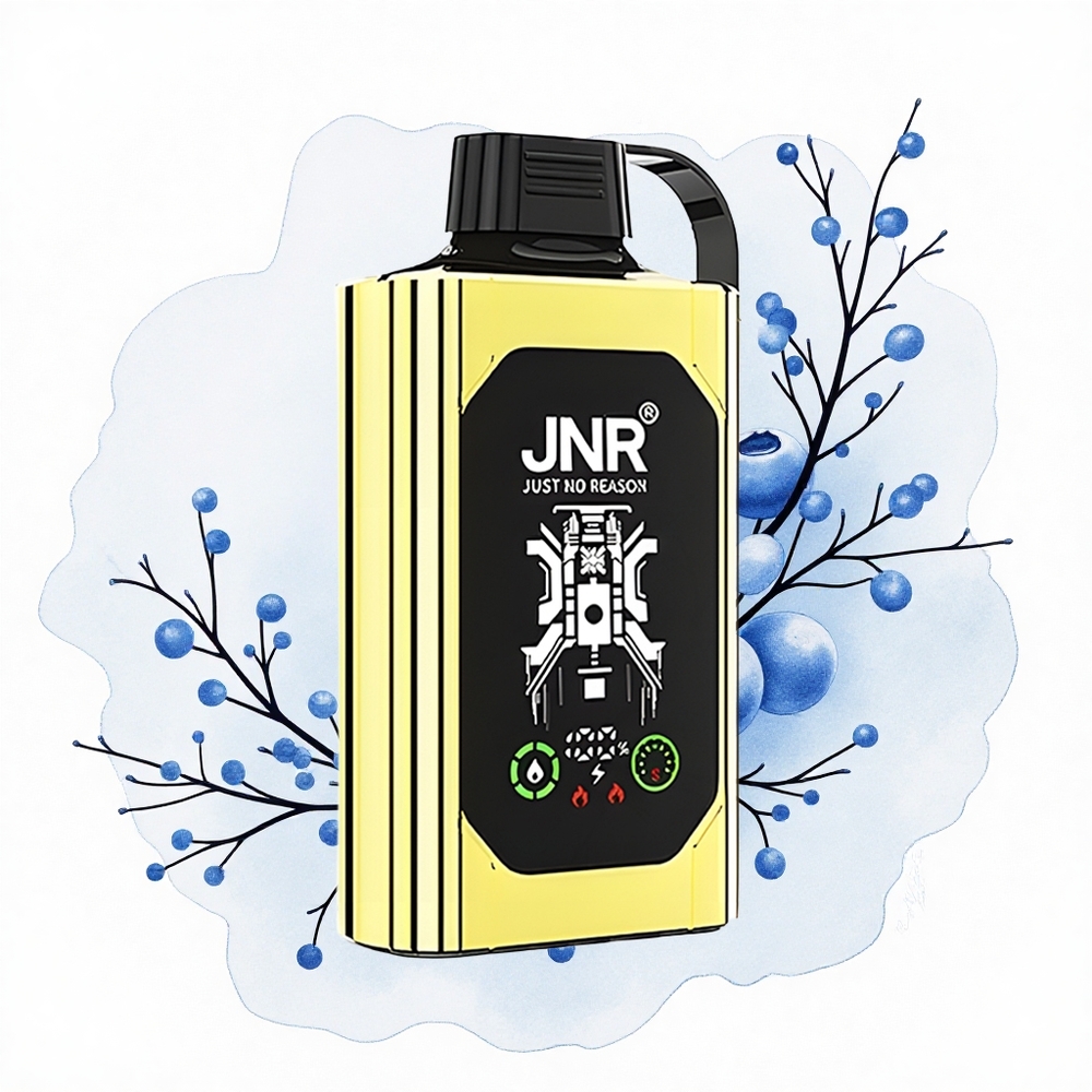 JNR Shisha Hookah Box 20500 Helado de Arándano HD Dual Mesh 25ml