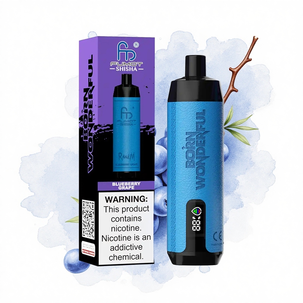RandM Fumot Shisha 10000 Puffs Uva Arándano LED Tipo-C 0.6ohm